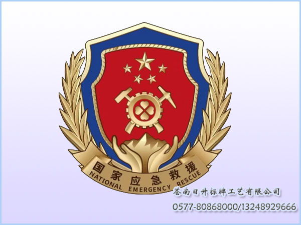 国家应急救援徽章
